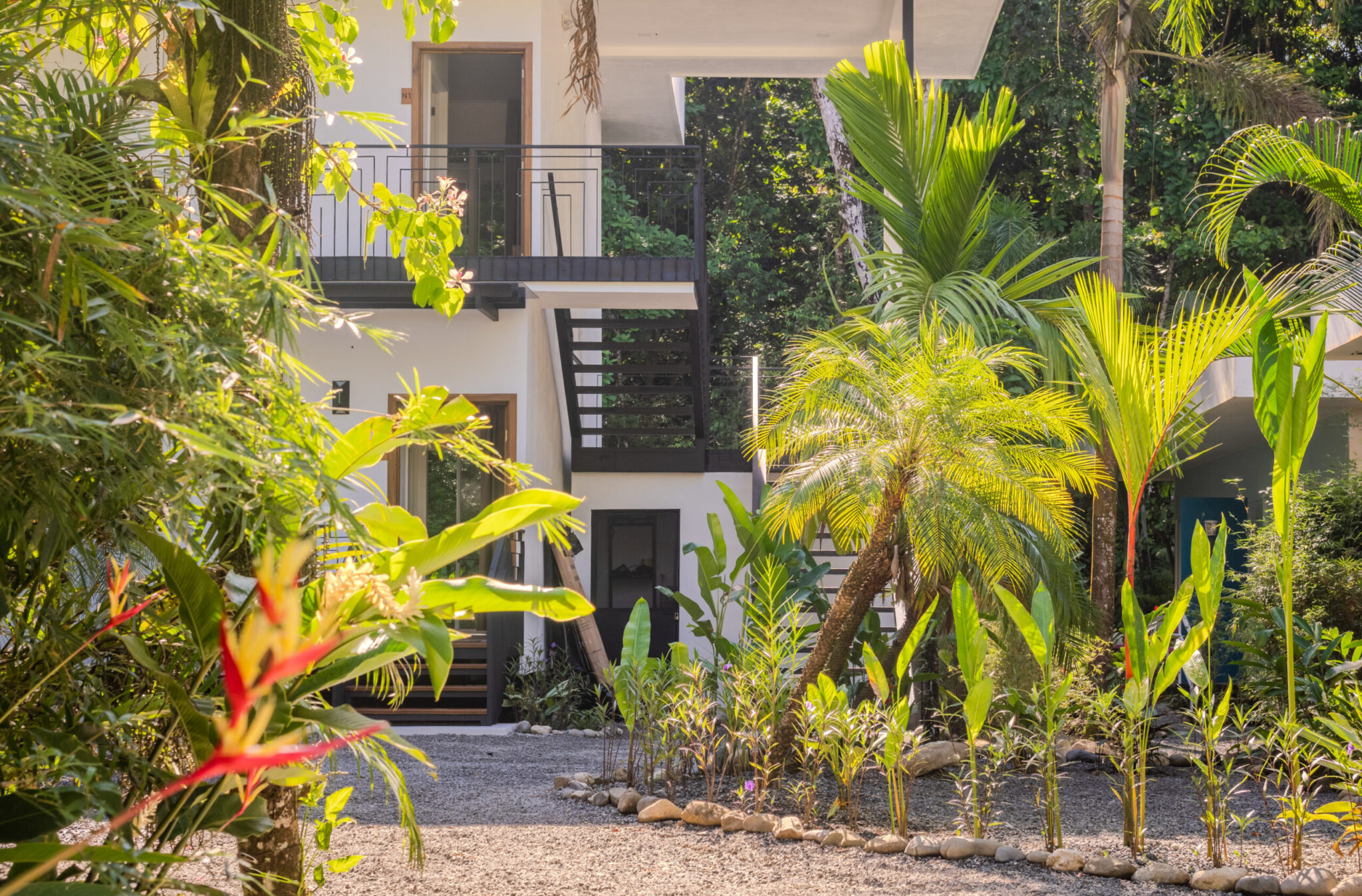 20250123_Yulian_OM1_Photo_CR_SouthPacific_Ojochal_Bloom_CRC_OjochalGarden_37778-HDR (1)