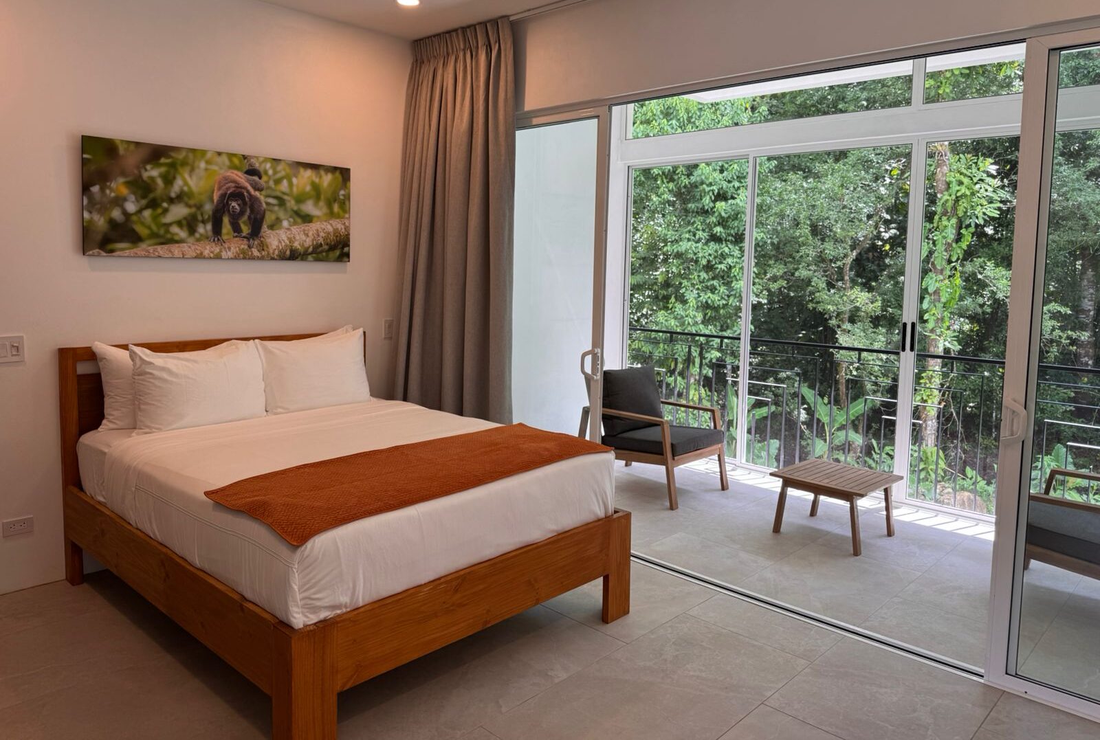 WhatsApp Image 2025-01-24 at 11.09.35