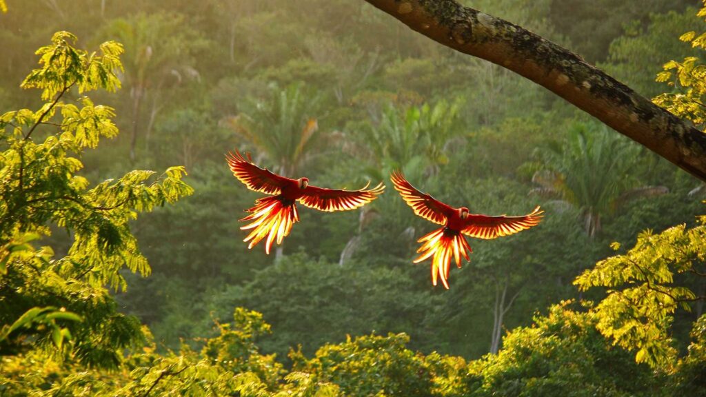 Luxury Travel in Costa Rica Beyond Sustainability