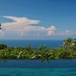 Whale Watching Season in Costa Rica: Where to Stay for the Best Southern Pacific Experience