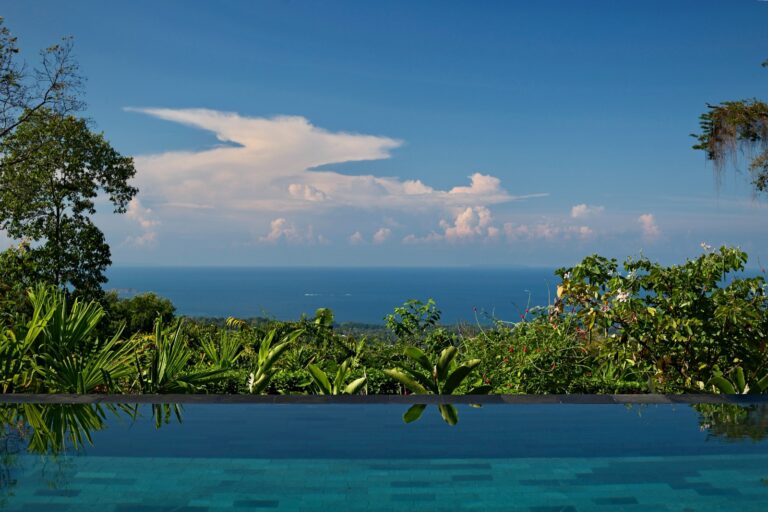 Whale Watching Season in Costa Rica: Where to Stay for the Best Southern Pacific Experience