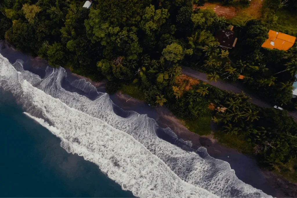 High-angle drone shot showing white ocean waves crashing onto a dark sand beach bordered by a dense tropical forest and coastal road.