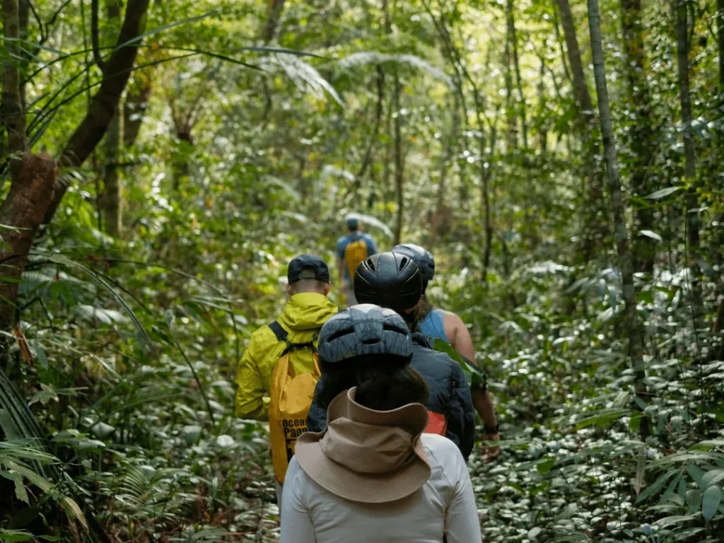 A back-view shot of a multigenerational family wearing backpacks and protective hats hiking single file along a narrow, lush green rainforest trail in Costa Rica.