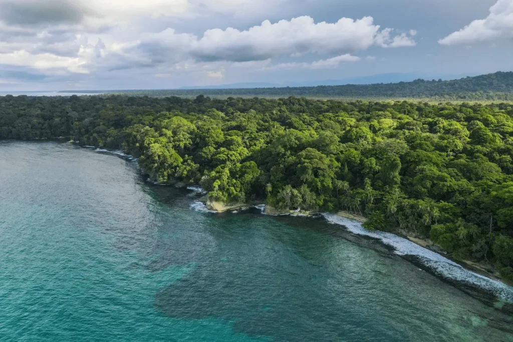 Panoramic drone shot of a dense tropical forest shoreline running along clear blue ocean waters under a cloudy sky.
